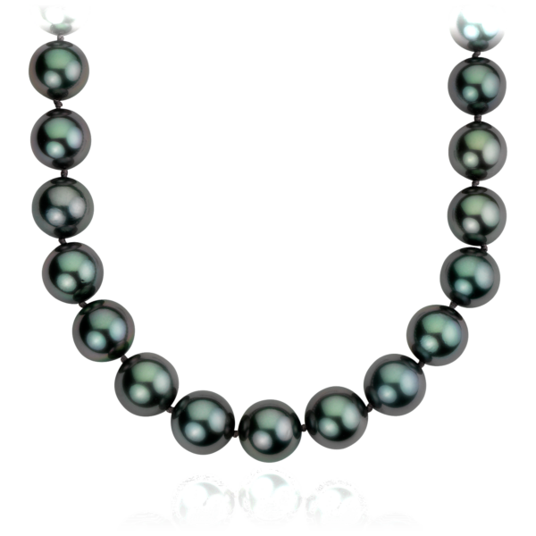Tahitian Cultured Pearl Strand Necklace with 18k White Gold (36")